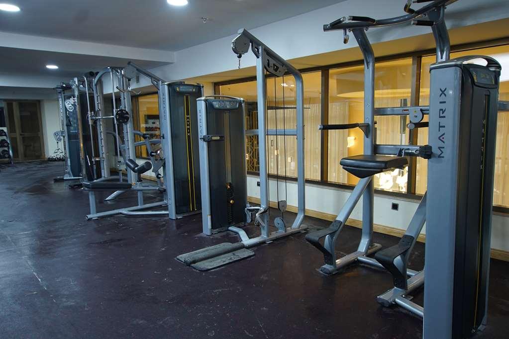 Best Western Premier Dynasty Addis Abeba Udogodnienia zdjęcie